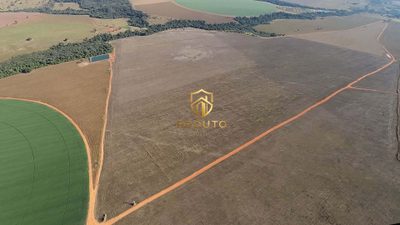 Fazenda, 160 hectares - Foto 3