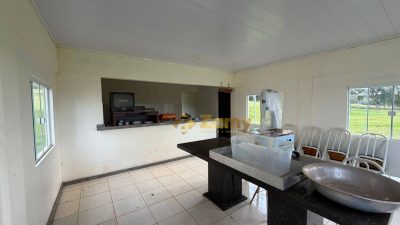 Sítio, 3 quartos, 242 hectares - Foto 4