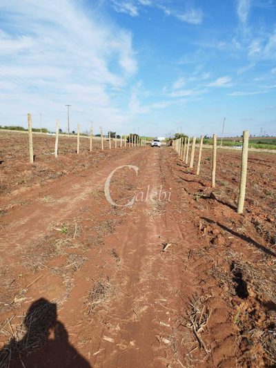 Terreno, 2 m² - Foto 4