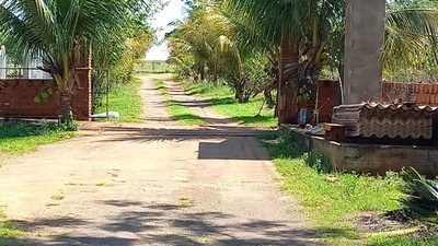 Chácara, 2 quartos, 2000 m² - Foto 5