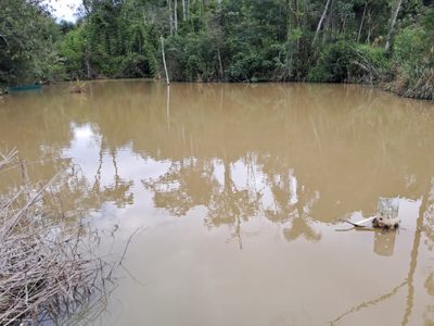 Chácara, 7000 m² - Foto 4