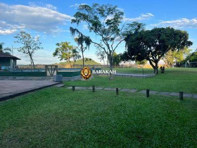 Sítio, 7524 m² - Foto 2