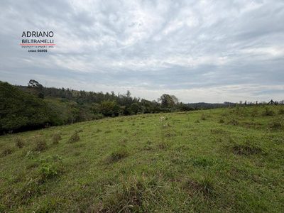 Terreno, 2 hectares - Foto 4