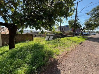 Loja-Salão, 714 m² - Foto 2