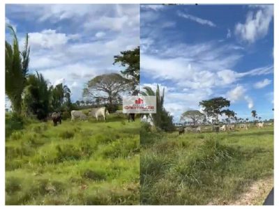 Fazenda, 1600 m² - Foto 5