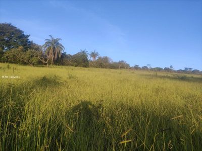 Terreno, 2500 m² - Foto 1