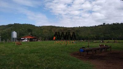 Fazenda, 114 hectares - Foto 3