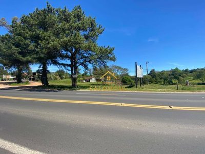 Terreno, 5000 m² - Foto 1