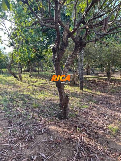 Chácara, 1000 m² - Foto 3
