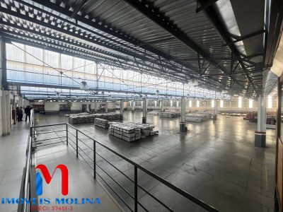 Prédio Inteiro, 10200 m² - Foto 4