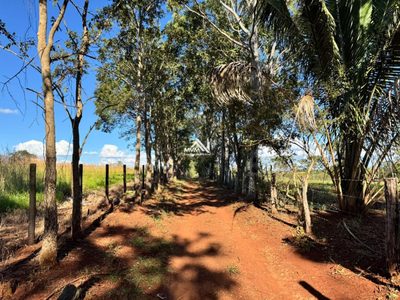 Chácara, 27 hectares - Foto 3