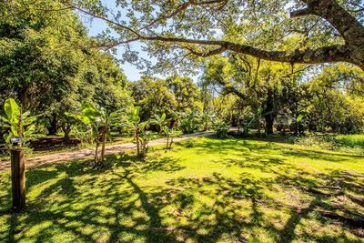 Sítio, 3 quartos, 399 m² - Foto 4