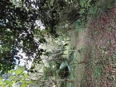 Terreno, 1240 m² - Foto 5