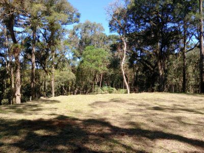 Chácara, 3000 m² - Foto 3