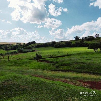Fazenda, 104 hectares - Foto 2