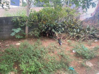 Loteamento e Condomínio, 227 m² - Foto 4