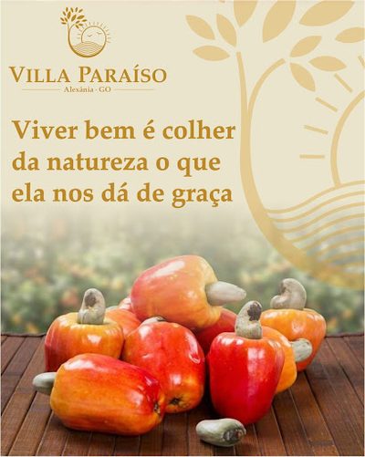 Terreno, 2 hectares - Foto 5