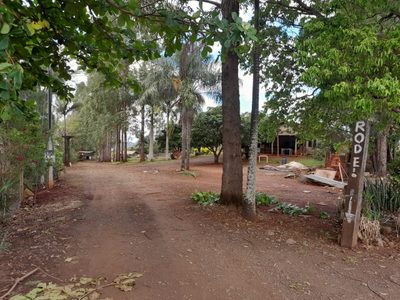 Sítio, 3 quartos, 8000 m² - Foto 5