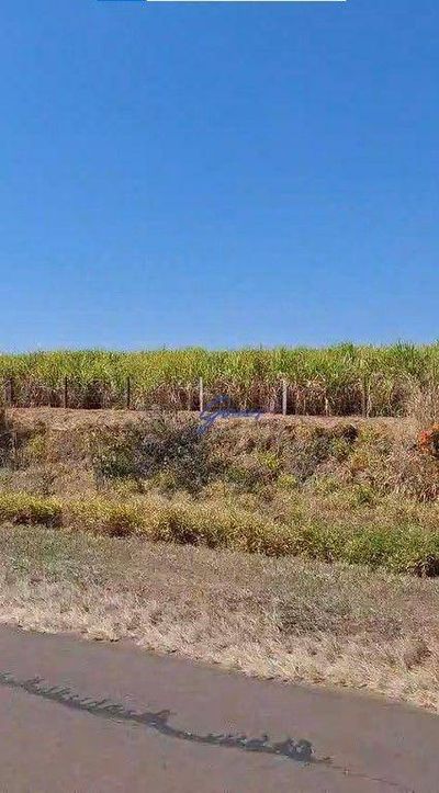 Fazenda, 1186 hectares - Foto 2