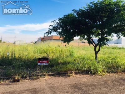 Terreno - Foto 2