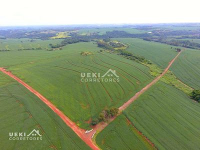 Fazenda, 77 hectares - Foto 5
