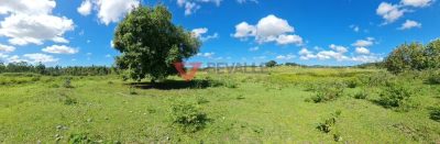 Fazenda, 126 hectares - Foto 5