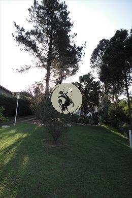 Casa, 3 quartos, 480 m² - Foto 4