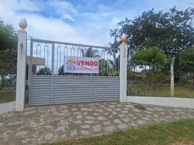 Sítio, 3 quartos, 5065 m² - Foto 1