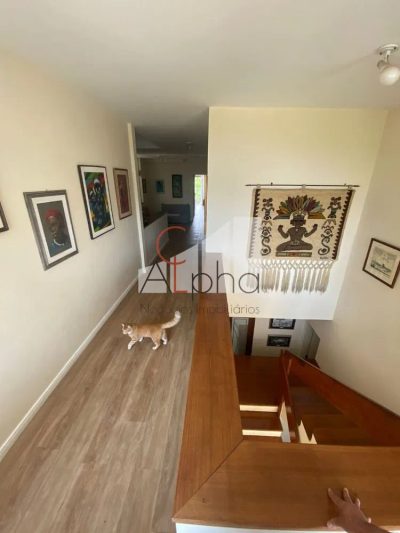 Sobrado, 4 quartos, 820 m² - Foto 1