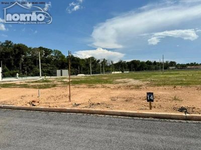 Terreno - Foto 1