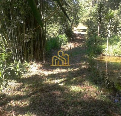 Terreno, 9 hectares - Foto 3