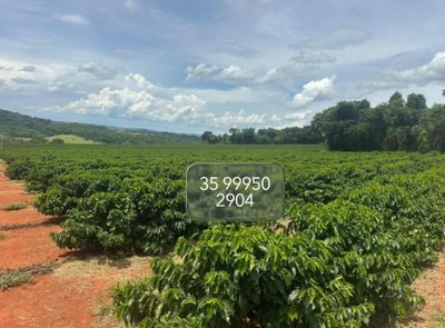 Chácara, 2 quartos, 109 hectares - Foto 3