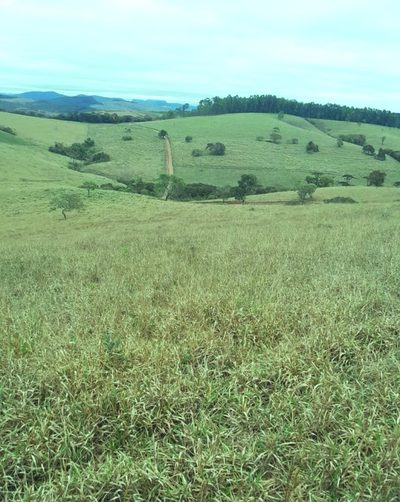 Fazenda, 220 hectares - Foto 3