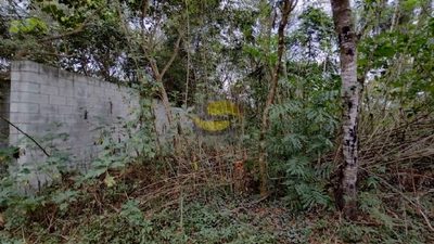 Terreno, 1000 m² - Foto 4