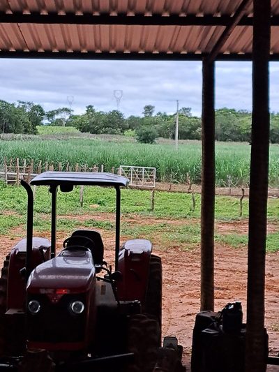 Chácara, 1 quarto, 180 hectares - Foto 3
