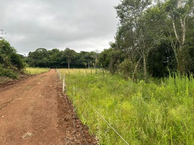 Terreno - Foto 4