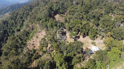 Chácara, 3 quartos, 2 hectares - Foto 3