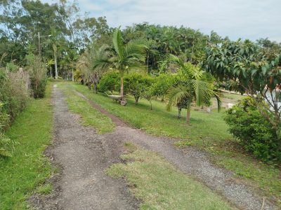 Chácara, 2580 m² - Foto 4