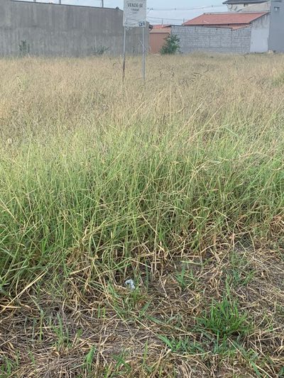 Terreno, 250 m² - Foto 4
