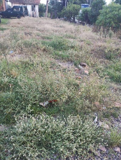 Terreno, 250 m² - Foto 5