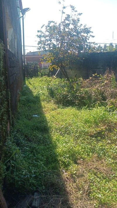 Terreno, 492 m² - Foto 3