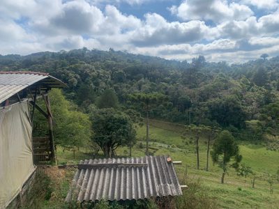 Sítio, 2 quartos, 43 hectares - Foto 2