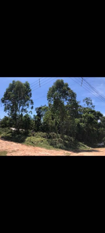 Terreno, 1100 m² - Foto 1