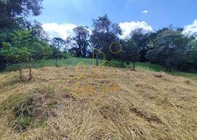 Sítio, 1 quarto, 6000 m² - Foto 3