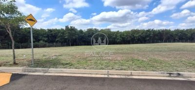 Terreno, 448 m² - Foto 5