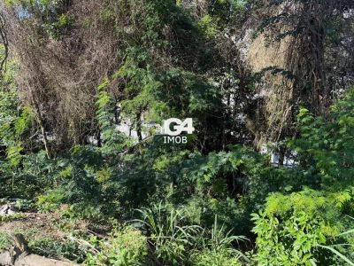 Terreno, 375 m² - Foto 4