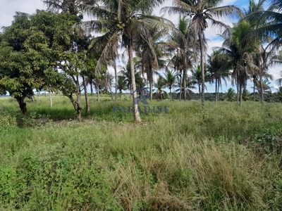 Fazenda, 77 hectares - Foto 2