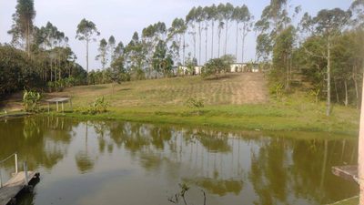 Terreno, 15 hectares - Foto 1