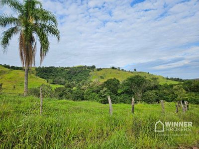 Fazenda, 862 hectares - Foto 2