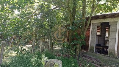 Chácara, 3 quartos, 244 m² - Foto 2